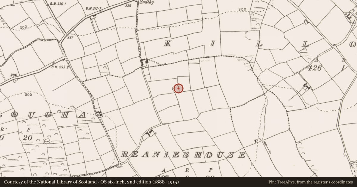 Ordnance Survey six-inch map, 2nd edition (1888–1915) covering the location of Ringfort - rath, Reanieshouse, County Cork, with a pin at the register's coordinates