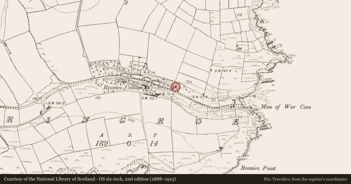 Ordnance Survey six-inch map, 2nd edition (1888–1915) covering the location of Mill - corn, Killowen, County Cork, with a pin at the register's coordinates