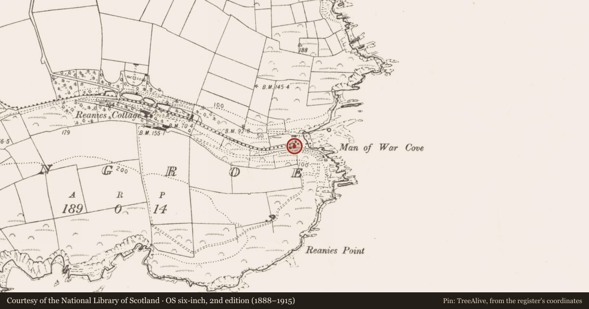 Ordnance Survey six-inch map, 2nd edition (1888–1915) covering the location of Kiln - lime, Killowen, County Cork, with a pin at the register's coordinates