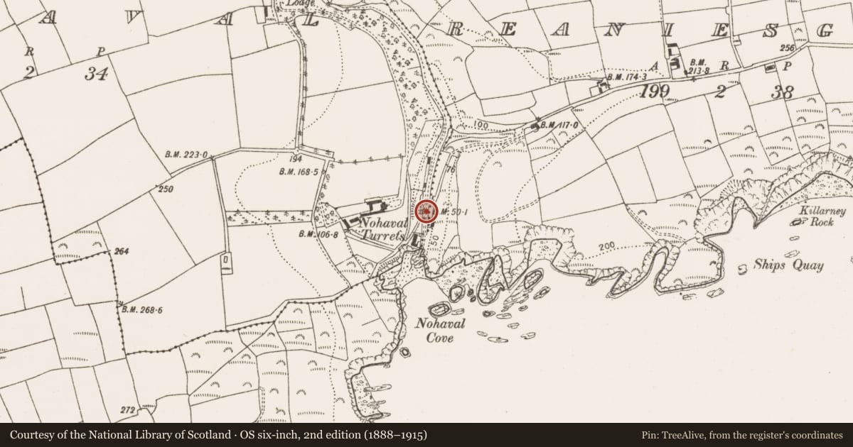 Ordnance Survey six-inch map, 2nd edition (1888–1915) covering the location of Kiln - lime, Nohaval, County Cork, with a pin at the register's coordinates