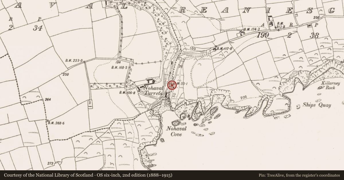 Ordnance Survey six-inch map, 2nd edition (1888–1915) covering the location of Kiln - lime, Nohaval, County Cork, with a pin at the register's coordinates