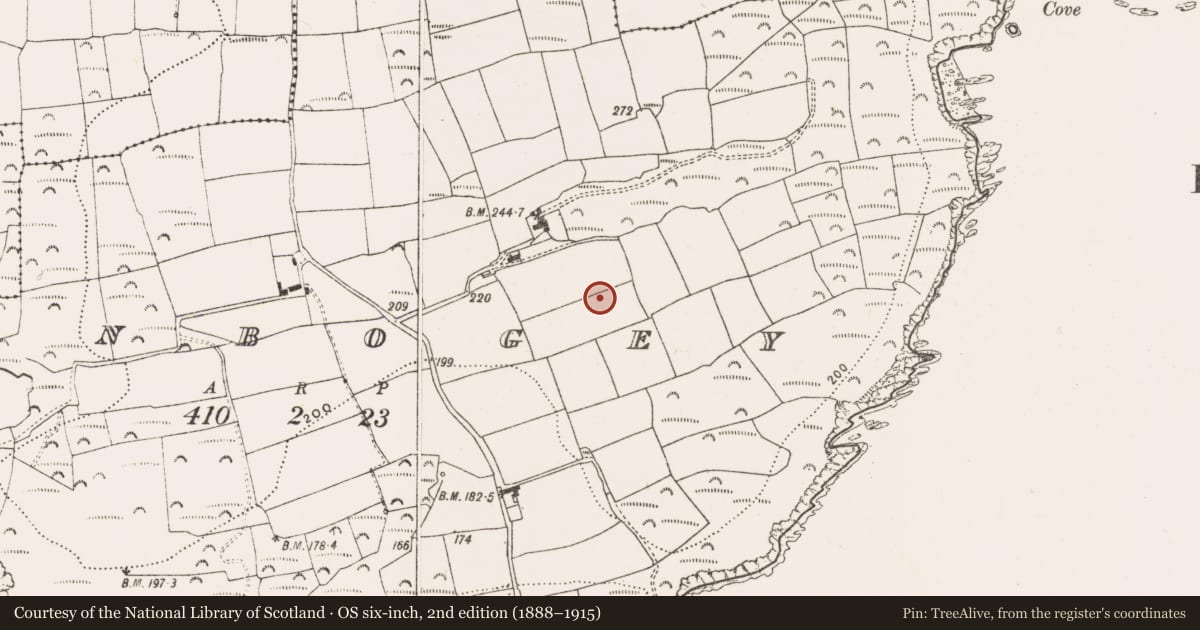 Ordnance Survey six-inch map, 2nd edition (1888–1915) covering the location of Ringfort - rath, Dunbogey, County Cork, with a pin at the register's coordinates