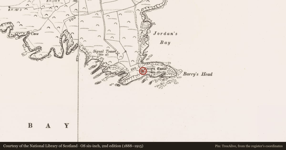 Ordnance Survey six-inch map, 2nd edition (1888–1915) covering the location of Castle - unclassified, Dunbogey, County Cork, with a pin at the register's coordinates