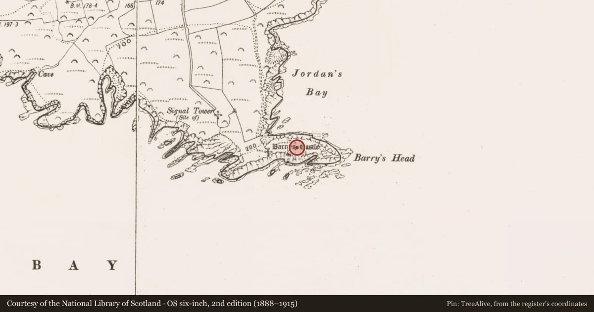 Ordnance Survey six-inch map, 2nd edition (1888–1915) covering the location of Promontory fort - coastal, Dunbogey, County Cork, with a pin at the register's coordinates