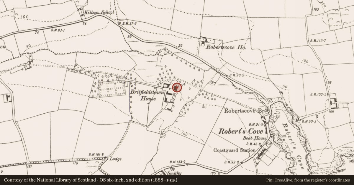 Ordnance Survey six-inch map, 2nd edition (1888–1915) covering the location of Country house, Britfieldstown, County Cork, with a pin at the register's coordinates