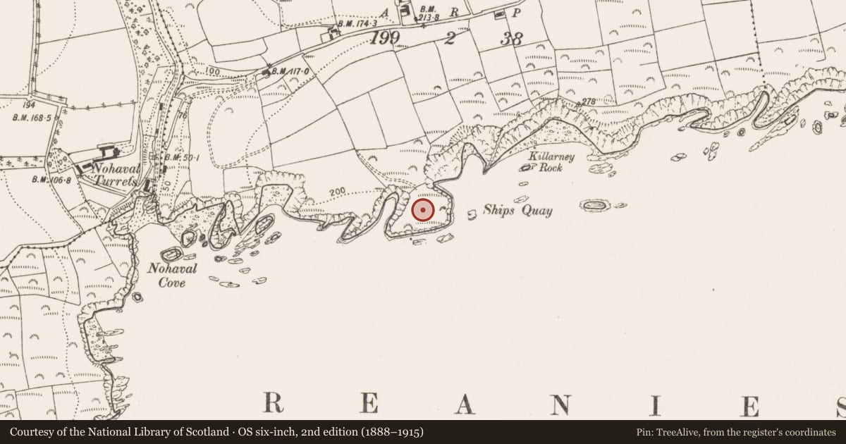Ordnance Survey six-inch map, 2nd edition (1888–1915) covering the location of Promontory fort - coastal, Reaniesglen, County Cork, with a pin at the register's coordinates