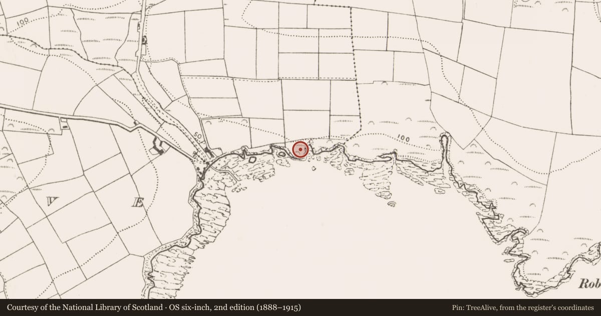 Ordnance Survey six-inch map, 2nd edition (1888–1915) covering the location of Promontory fort - coastal, Ballyfoyle, County Cork, with a pin at the register's coordinates