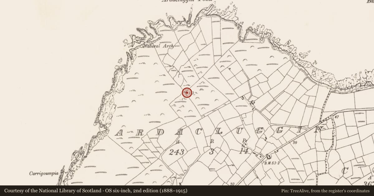 Ordnance Survey six-inch map, 2nd edition (1888–1915) covering the location of Standing stone, Ardacluggin, County Cork, with a pin at the register's coordinates