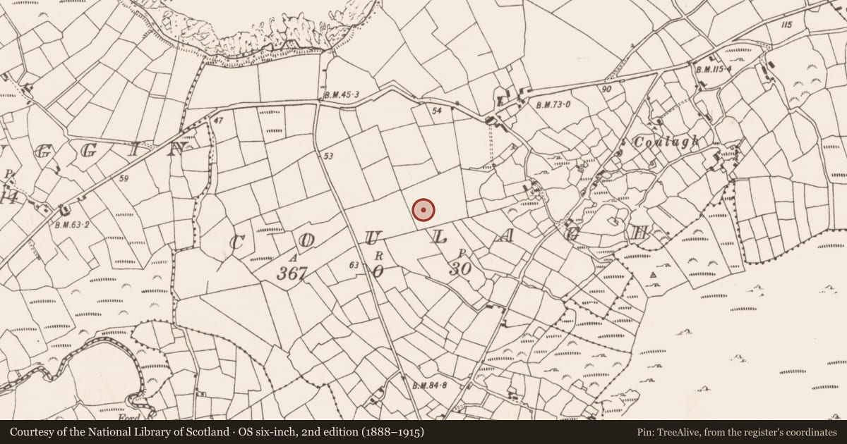 Ordnance Survey six-inch map, 2nd edition (1888–1915) covering the location of Stone circle - multiple-stone, Coulagh, County Cork, with a pin at the register's coordinates