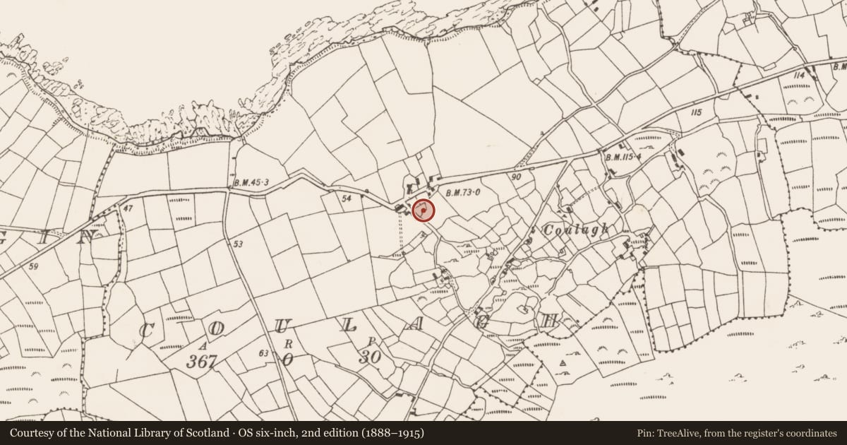 Ordnance Survey six-inch map, 2nd edition (1888–1915) covering the location of Church, Coulagh, County Cork, with a pin at the register's coordinates