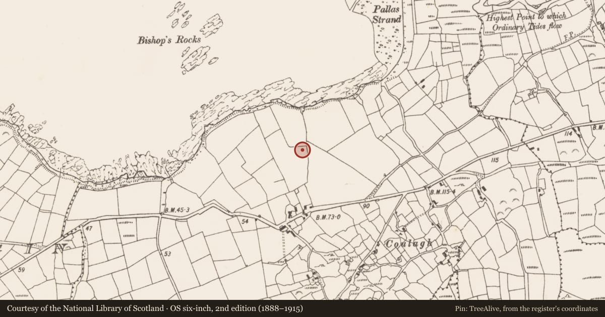 Ordnance Survey six-inch map, 2nd edition (1888–1915) covering the location of Standing stone, Coulagh, County Cork, with a pin at the register's coordinates