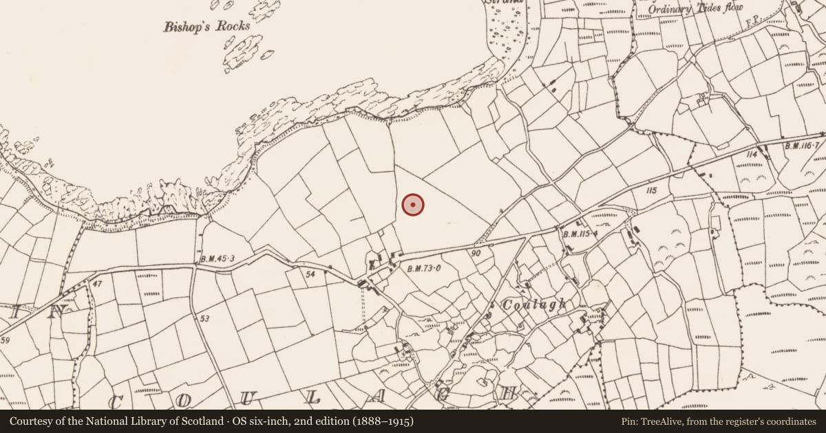 Ordnance Survey six-inch map, 2nd edition (1888–1915) covering the location of Standing stone, Coulagh, County Cork, with a pin at the register's coordinates