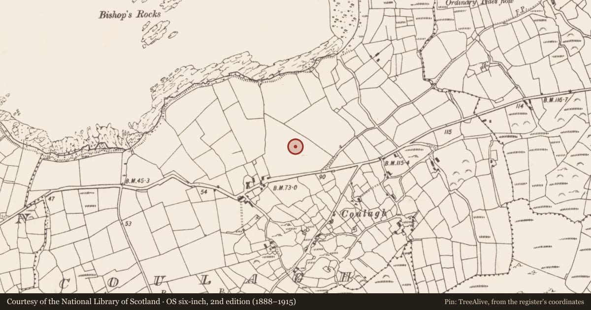 Ordnance Survey six-inch map, 2nd edition (1888–1915) covering the location of Standing stone, Coulagh, County Cork, with a pin at the register's coordinates