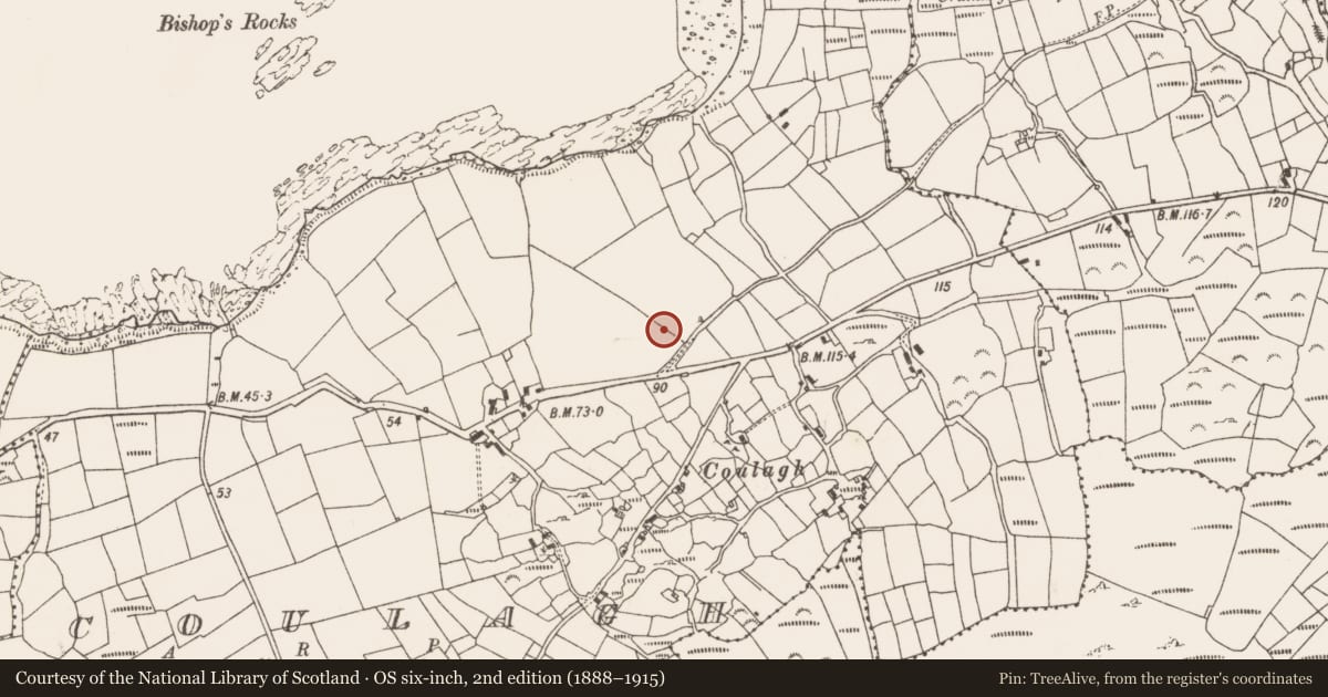 Ordnance Survey six-inch map, 2nd edition (1888–1915) covering the location of Standing stone, Coulagh, County Cork, with a pin at the register's coordinates