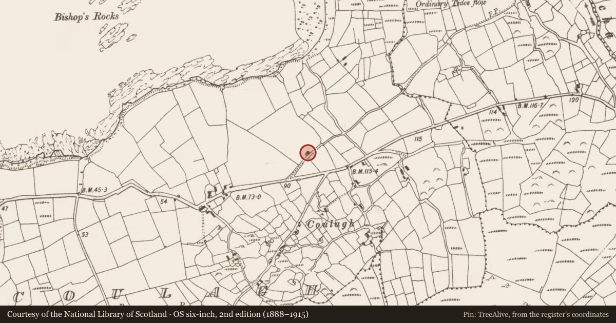 Ordnance Survey six-inch map, 2nd edition (1888–1915) covering the location of Standing stone, Coulagh, County Cork, with a pin at the register's coordinates
