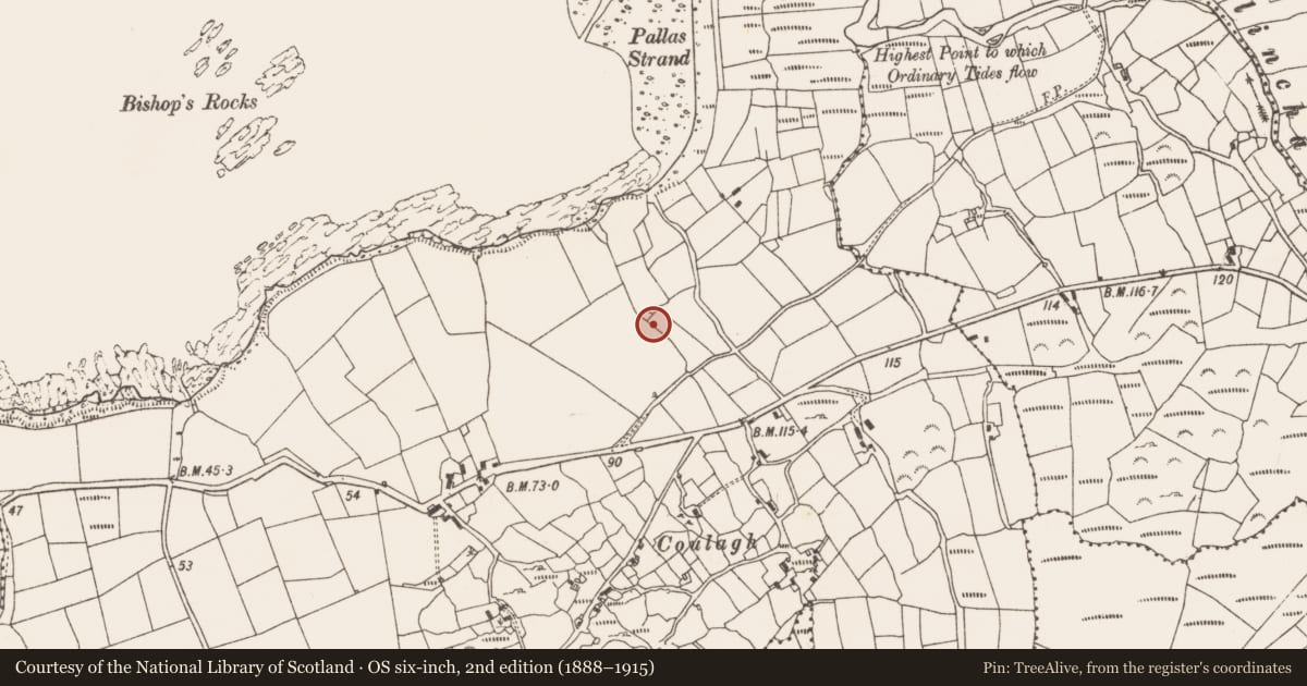 Ordnance Survey six-inch map, 2nd edition (1888–1915) covering the location of Standing stone, Coulagh, County Cork, with a pin at the register's coordinates