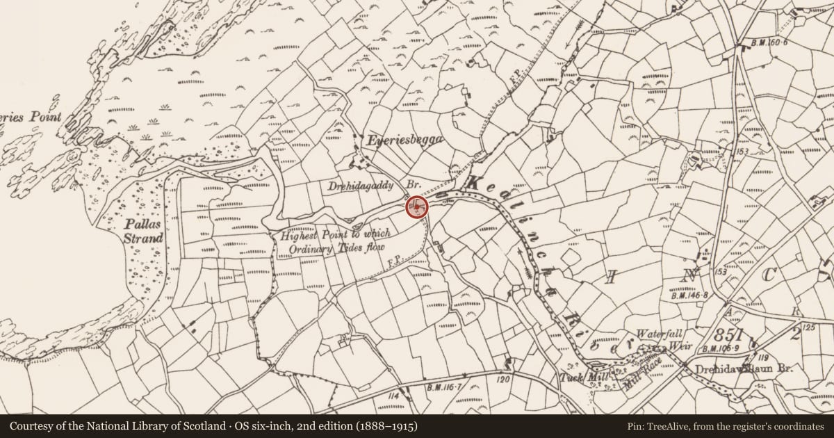 Ordnance Survey six-inch map, 2nd edition (1888–1915) covering the location of Bridge, Eyeries, County Cork, with a pin at the register's coordinates