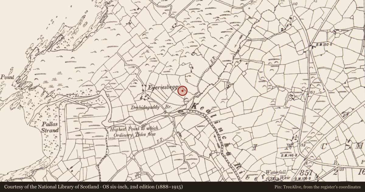 Ordnance Survey six-inch map, 2nd edition (1888–1915) covering the location of Standing stone - pair, Eyeries, County Cork, with a pin at the register's coordinates