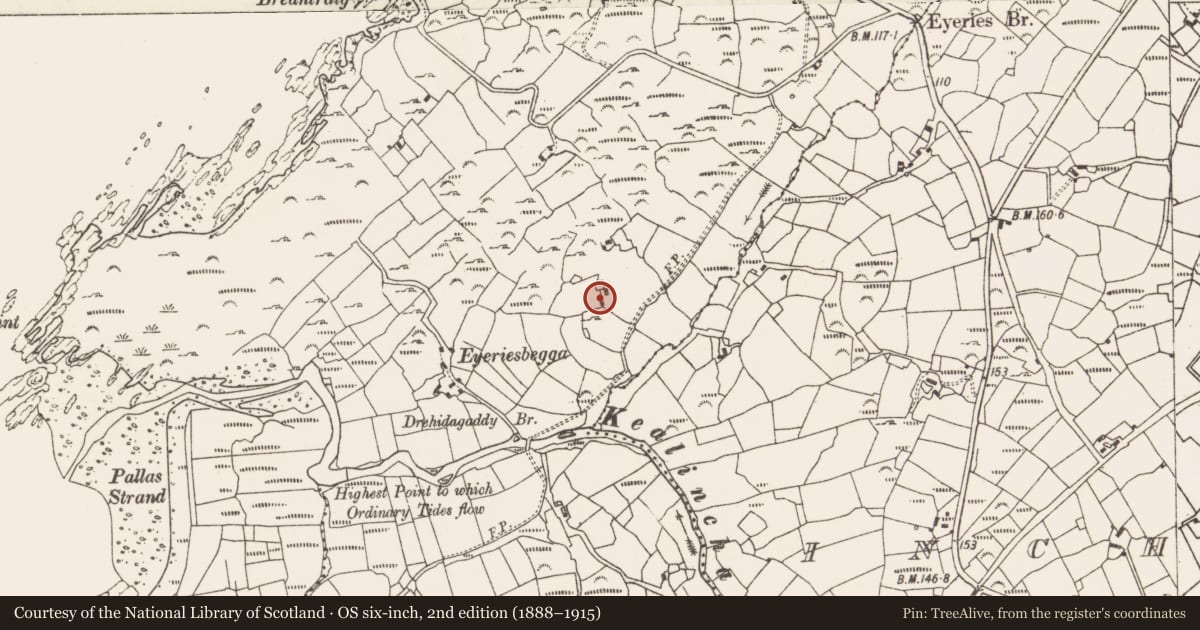 Ordnance Survey six-inch map, 2nd edition (1888–1915) covering the location of Standing stone, Eyeries, County Cork, with a pin at the register's coordinates