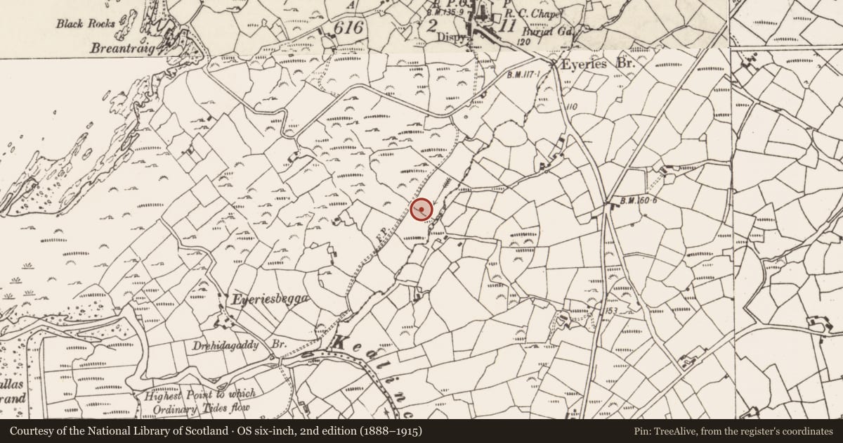 Ordnance Survey six-inch map, 2nd edition (1888–1915) covering the location of Stone row, Eyeries, County Cork, with a pin at the register's coordinates