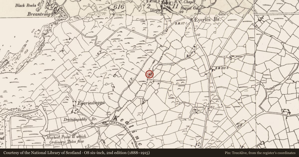 Ordnance Survey six-inch map, 2nd edition (1888–1915) covering the location of Standing stone - pair, Eyeries, County Cork, with a pin at the register's coordinates