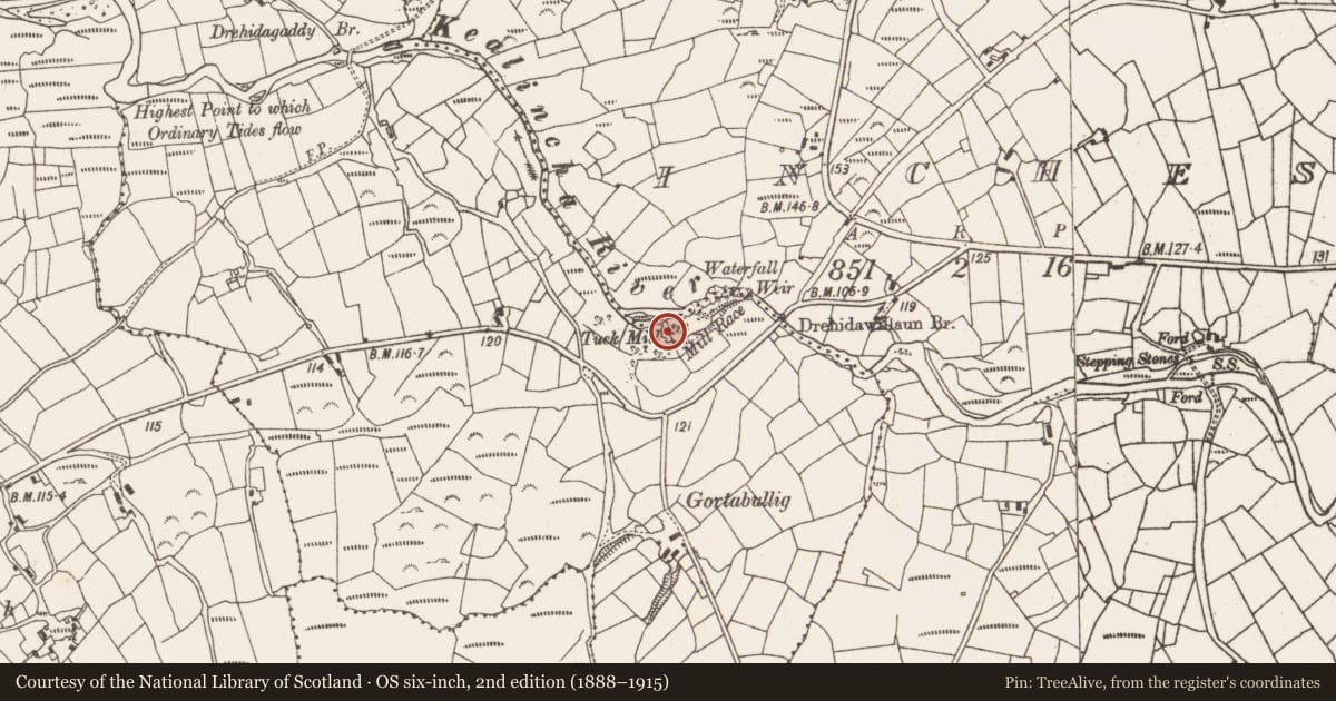 Ordnance Survey six-inch map, 2nd edition (1888–1915) covering the location of Mill - fulling, Eyeries, County Cork, with a pin at the register's coordinates