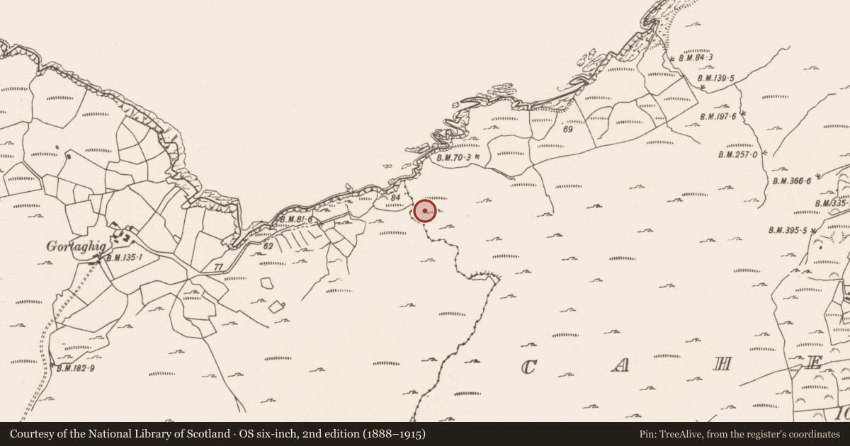 Ordnance Survey six-inch map, 2nd edition (1888–1915) covering the location of Enclosure, Caherkeen, County Cork, with a pin at the register's coordinates