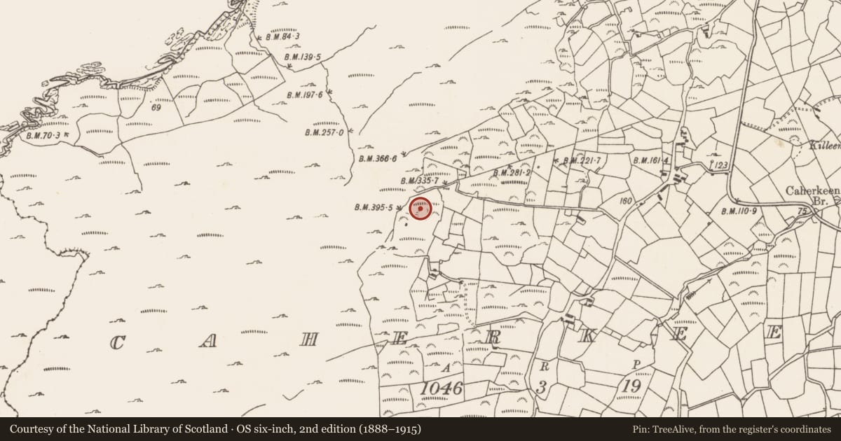 Ordnance Survey six-inch map, 2nd edition (1888–1915) covering the location of Ringfort - rath, Caherkeen, County Cork, with a pin at the register's coordinates