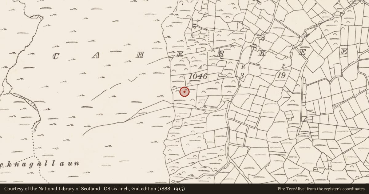Ordnance Survey six-inch map, 2nd edition (1888–1915) covering the location of Hut site, Caherkeen, County Cork, with a pin at the register's coordinates