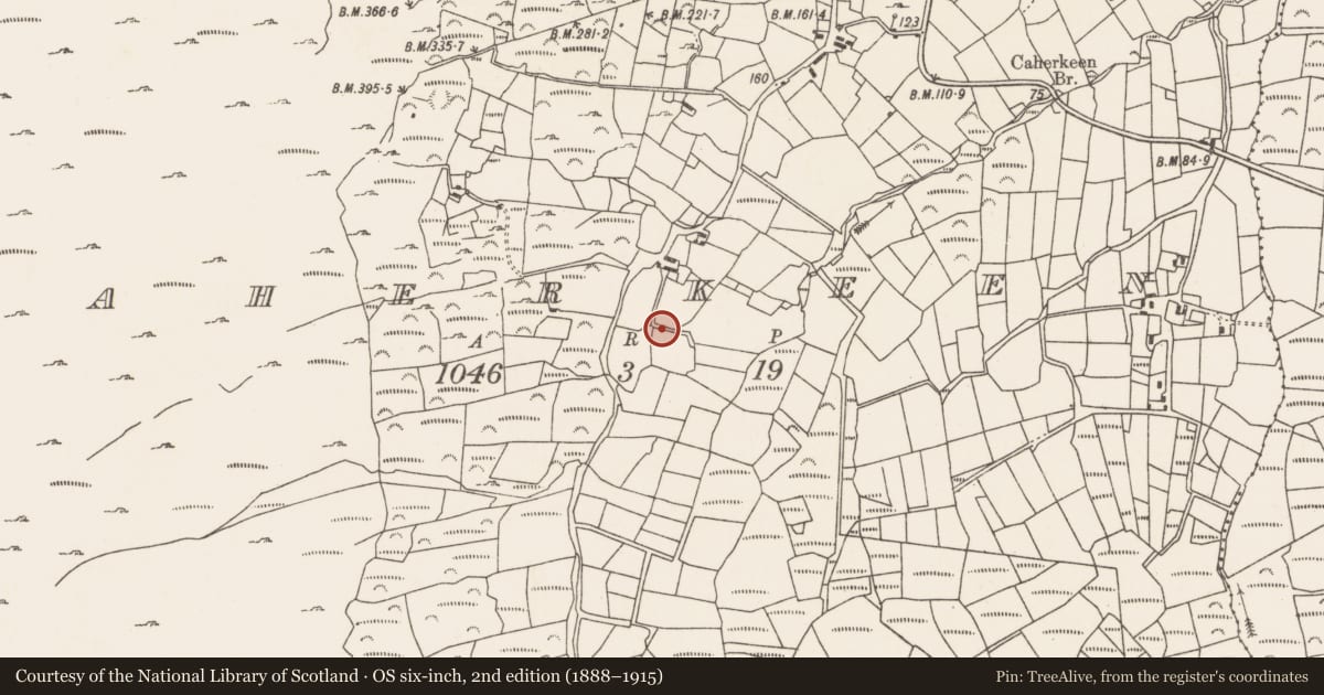 Ordnance Survey six-inch map, 2nd edition (1888–1915) covering the location of Standing stone, Caherkeen, County Cork, with a pin at the register's coordinates