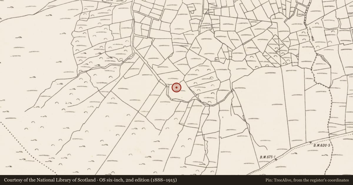 Ordnance Survey six-inch map, 2nd edition (1888–1915) covering the location of Anomalous stone group, Caherkeen, County Cork, with a pin at the register's coordinates