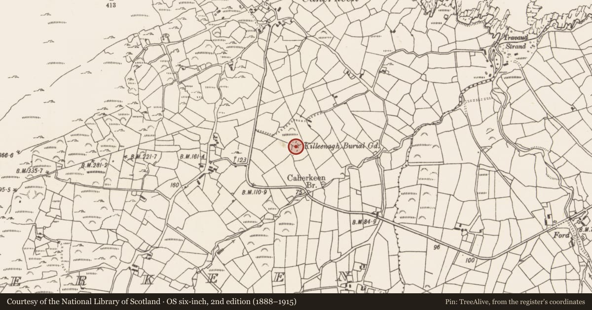 Ordnance Survey six-inch map, 2nd edition (1888–1915) covering the location of Burial ground, Caherkeen, County Cork, with a pin at the register's coordinates