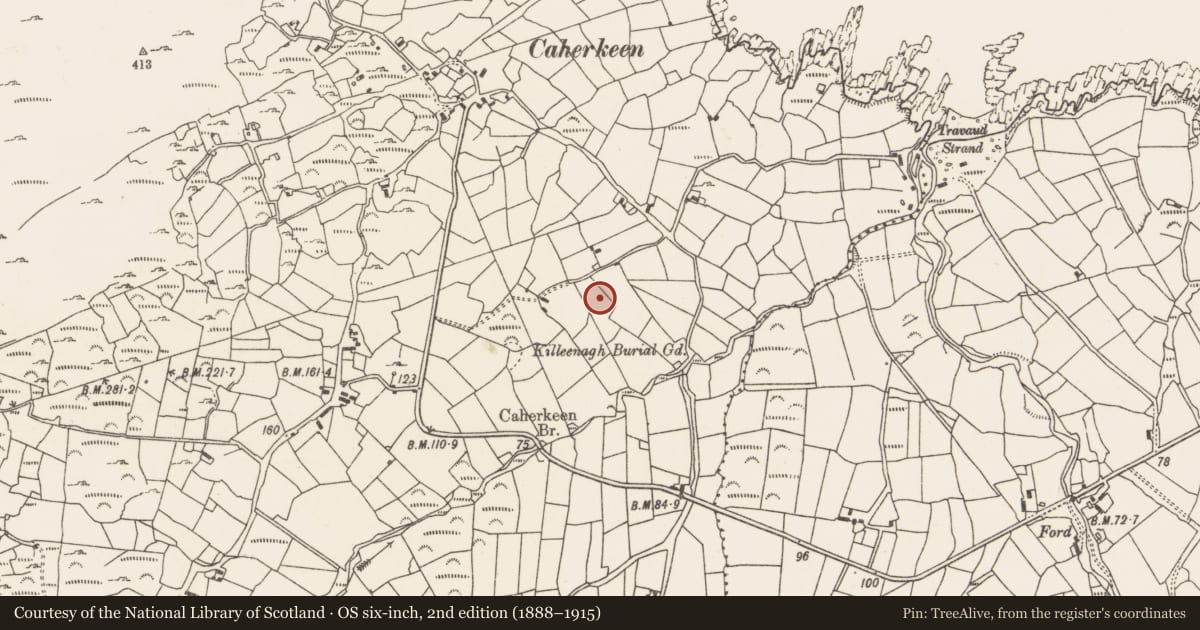 Ordnance Survey six-inch map, 2nd edition (1888–1915) covering the location of Standing stone, Caherkeen, County Cork, with a pin at the register's coordinates