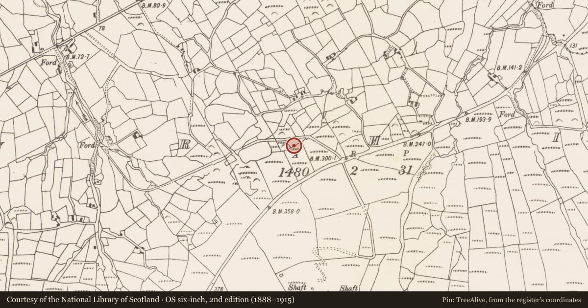 Ordnance Survey six-inch map, 2nd edition (1888–1915) covering the location of Standing stone, Urhin, County Cork, with a pin at the register's coordinates