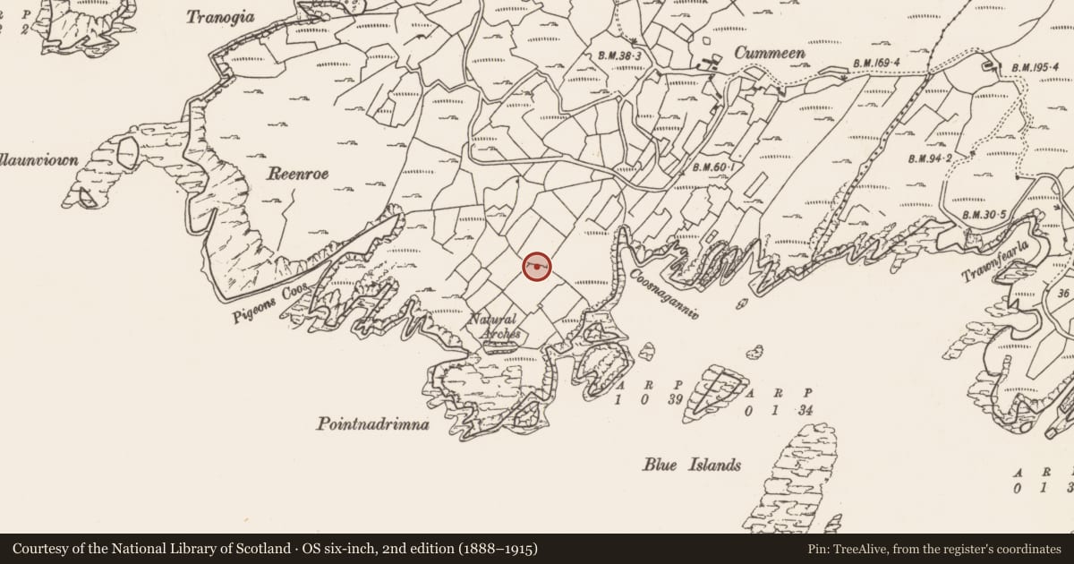 Ordnance Survey six-inch map, 2nd edition (1888–1915) covering the location of Church, Reentrusk, County Cork, with a pin at the register's coordinates