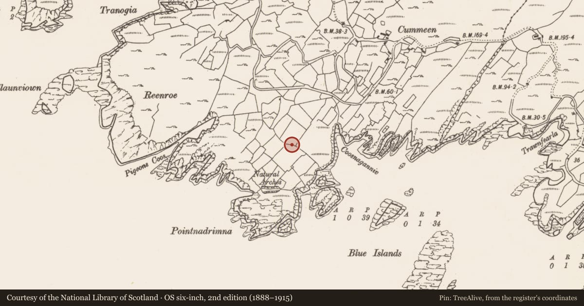 Ordnance Survey six-inch map, 2nd edition (1888–1915) covering the location of Children's burial ground, Reentrusk, County Cork, with a pin at the register's coordinates