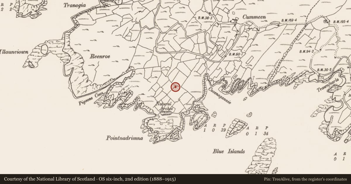 Ordnance Survey six-inch map, 2nd edition (1888–1915) covering the location of Souterrain, Reentrusk, County Cork, with a pin at the register's coordinates