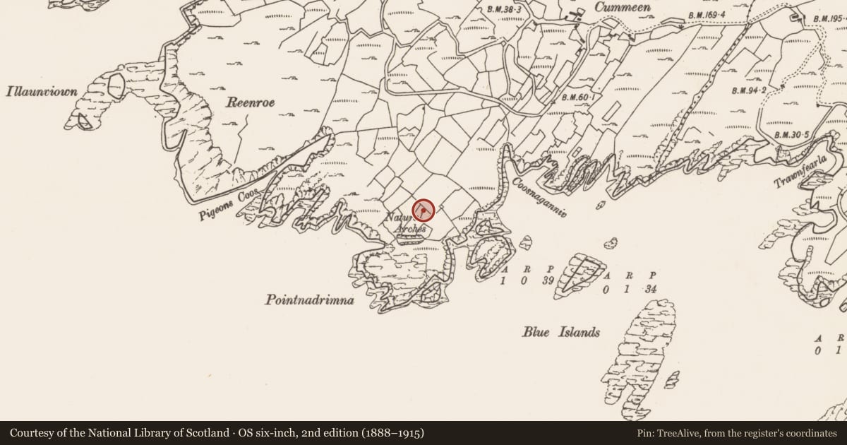 Ordnance Survey six-inch map, 2nd edition (1888–1915) covering the location of Hut site, Reentrusk, County Cork, with a pin at the register's coordinates