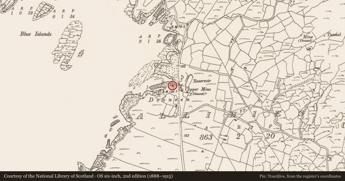 Ordnance Survey six-inch map, 2nd edition (1888–1915) covering the location of Industrial chimney, Allihies, County Cork, with a pin at the register's coordinates
