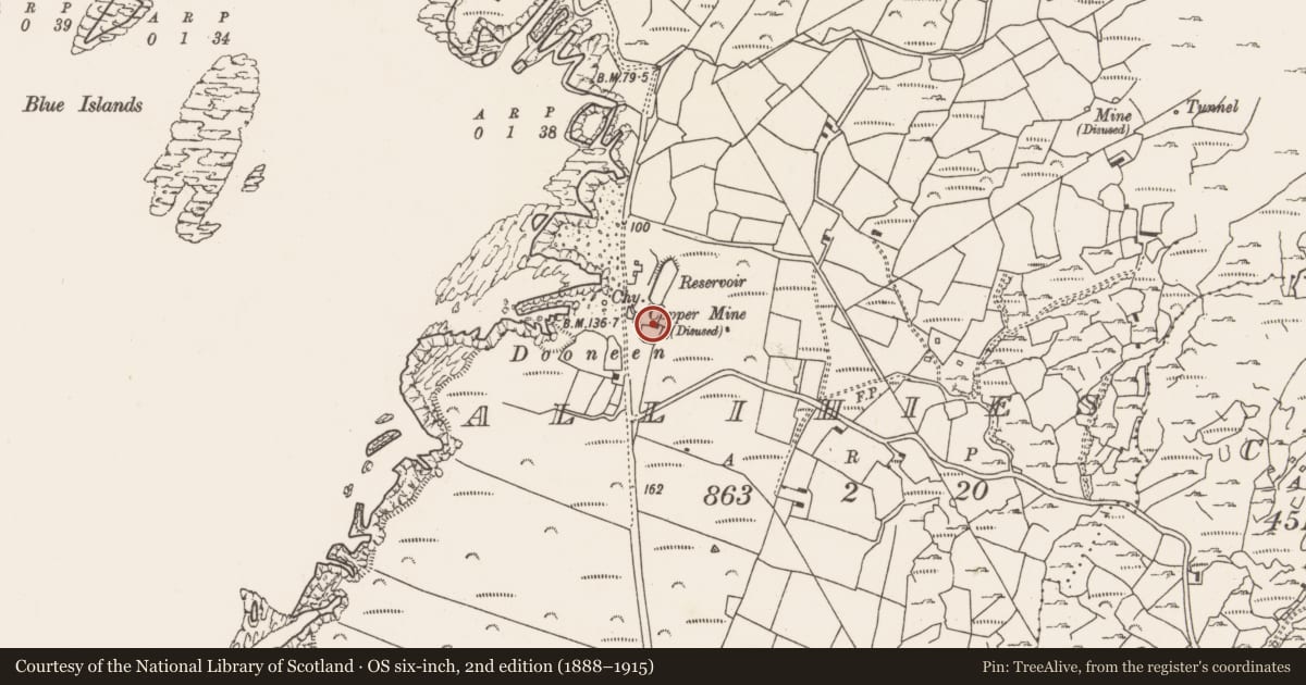 Ordnance Survey six-inch map, 2nd edition (1888–1915) covering the location of Mining complex, Allihies, County Cork, with a pin at the register's coordinates
