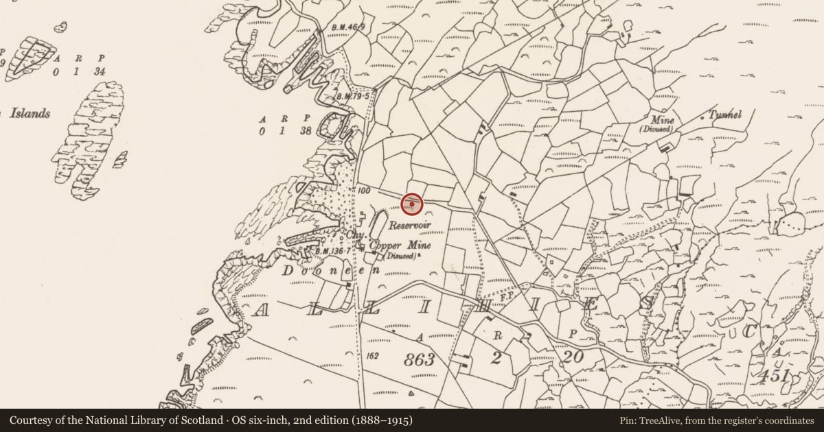 Ordnance Survey six-inch map, 2nd edition (1888–1915) covering the location of Enclosure, Allihies, County Cork, with a pin at the register's coordinates