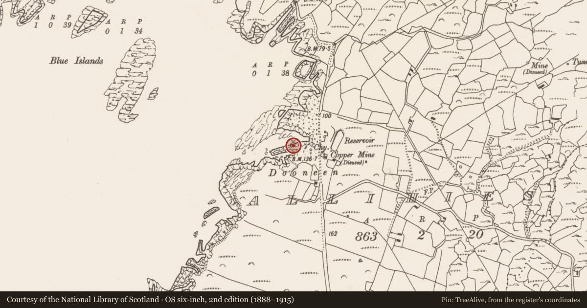 Ordnance Survey six-inch map, 2nd edition (1888–1915) covering the location of Promontory fort - coastal, Allihies, County Cork, with a pin at the register's coordinates