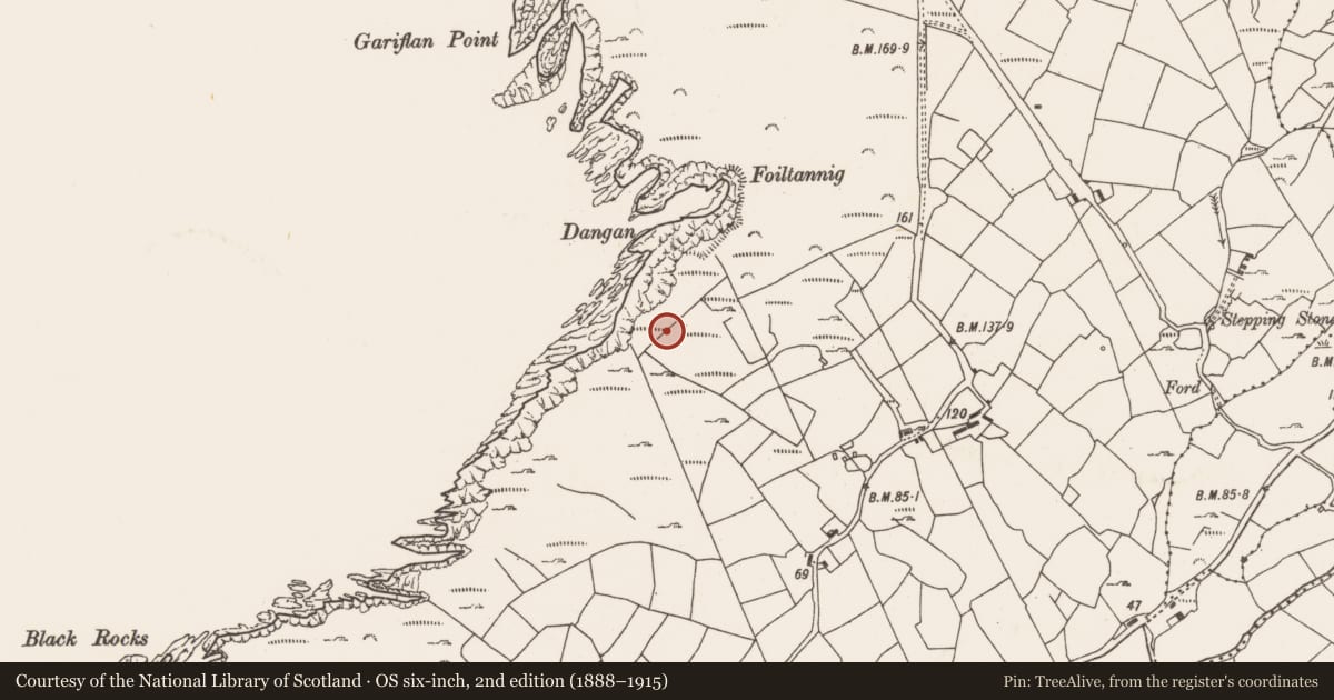 Ordnance Survey six-inch map, 2nd edition (1888–1915) covering the location of Anomalous stone group, Allihies, County Cork, with a pin at the register's coordinates