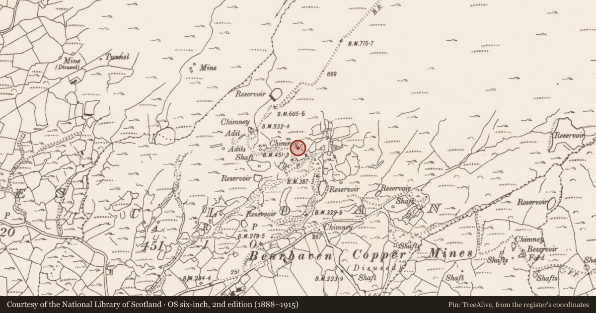 Ordnance Survey six-inch map, 2nd edition (1888–1915) covering the location of Mining complex, Cloan, County Cork, with a pin at the register's coordinates