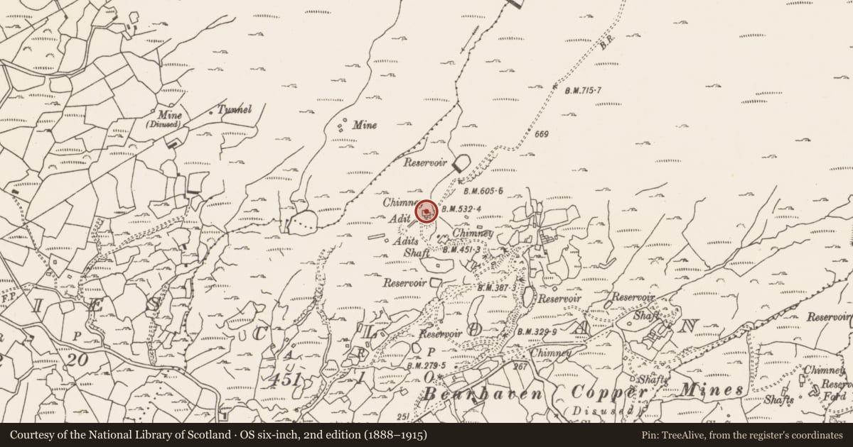 Ordnance Survey six-inch map, 2nd edition (1888–1915) covering the location of Mine engine house, Cloan, County Cork, with a pin at the register's coordinates
