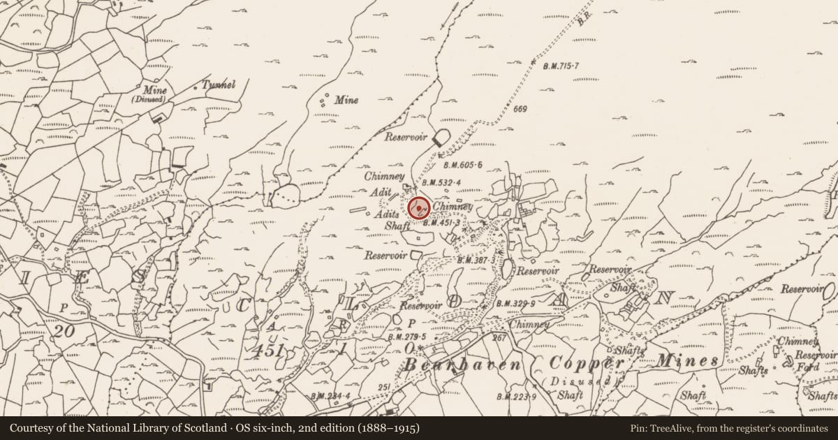 Ordnance Survey six-inch map, 2nd edition (1888–1915) covering the location of Mine engine house, Cloan, County Cork, with a pin at the register's coordinates