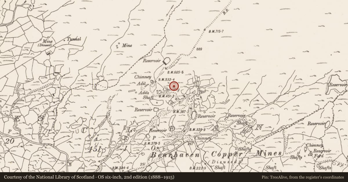 Ordnance Survey six-inch map, 2nd edition (1888–1915) covering the location of Mining structure, Cloan, County Cork, with a pin at the register's coordinates
