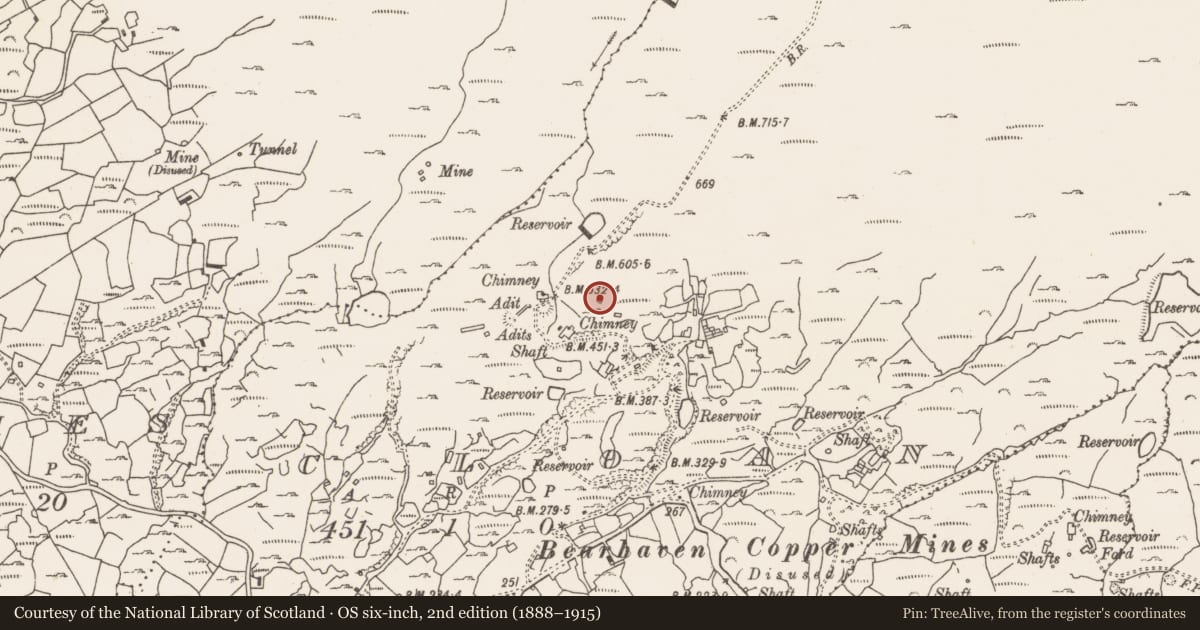 Ordnance Survey six-inch map, 2nd edition (1888–1915) covering the location of Mining structure, Cloan, County Cork, with a pin at the register's coordinates
