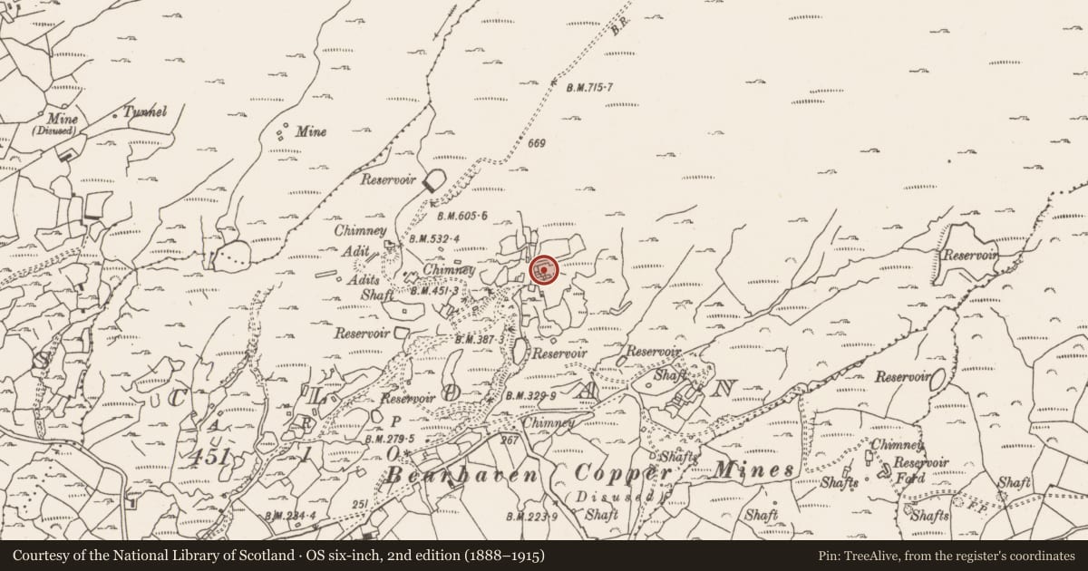 Ordnance Survey six-inch map, 2nd edition (1888–1915) covering the location of Miner's settlement, Cloan, County Cork, with a pin at the register's coordinates