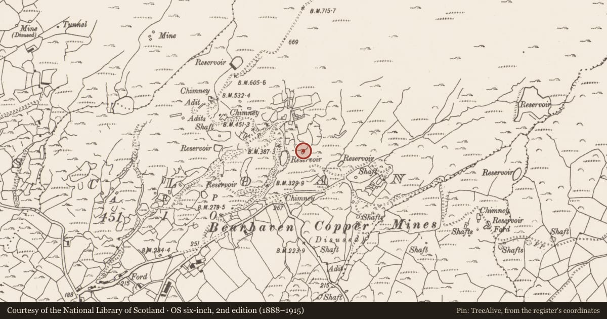 Ordnance Survey six-inch map, 2nd edition (1888–1915) covering the location of Magazine, Cloan, County Cork, with a pin at the register's coordinates